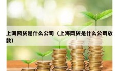 上海网贷是什么公司（上海网贷是什么公司放款）