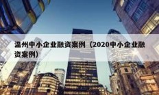 温州中小企业融资案例（2020中小企业融资案例）