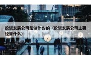 投资发展公司是做什么的（投资发展公司主要经营什么）