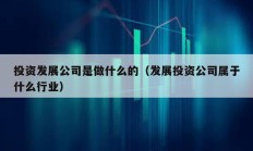 投资发展公司是做什么的（发展投资公司属于什么行业）