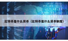 比特币是什么货币（比特币是什么货币制度）