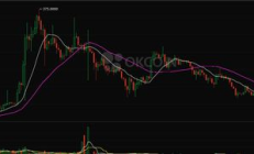 莱特币 价格曲线,莱特币价格今日行情