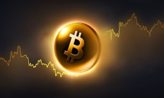 没有转熊迹象反而机构趁回调加速购买