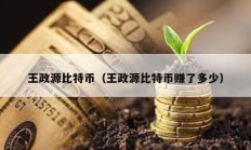 王政源比特币（王政源比特币赚了多少）