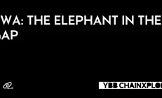 RWA：夹缝中的大象