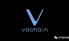 唯链币价格,唯链币最新价格