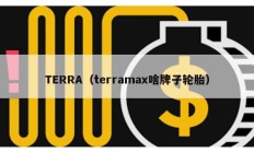 TERRA（terramax啥牌子轮胎）
