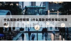 什么是融资性担保（什么是融资性担保公司保函）