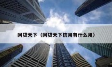 网贷天下（网贷天下信用有什么用）