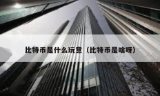 比特币是什么玩意（比特币是啥呀）