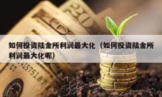 如何投资陆金所利润最大化（如何投资陆金所利润最大化呢）