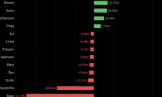 老鼠仓疑云 VC 币 Berachain 的忏悔