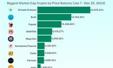 Coingecko：2024年领涨加密市场的前二十大代币一览