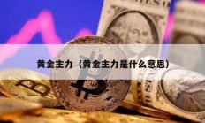 黄金主力（黄金主力是什么意思）