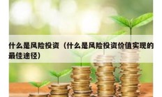 什么是风险投资（什么是风险投资价值实现的最佳途径）