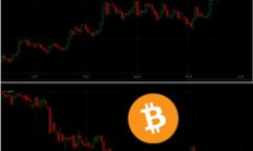 bit cash价格,bitbulls交易平台